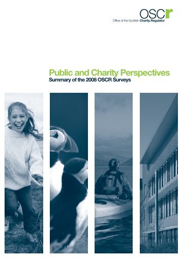 Public and Charity Perspectives: 2008 Survey Report (.PDF, 5MB)