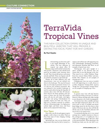 TerraVida Tropical Vines - Greenhouse Product News