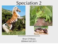 Speciation 2 - Brian O'meara Lab
