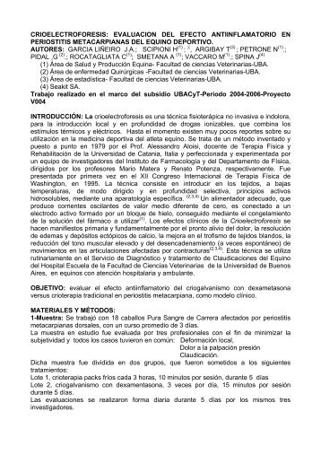 Inflamatorio en Periostitis Metacarpianas del Equino Deportivo