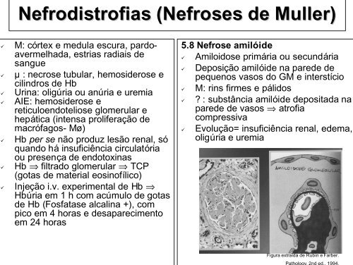 Patologia do Aparelho UrinÃƒÂ¡rio - Unesp