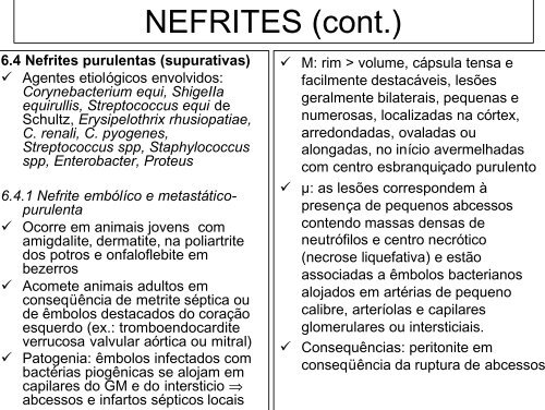 Patologia do Aparelho UrinÃƒÂ¡rio - Unesp