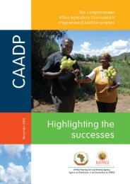 Highlighting the Successes - CAADP