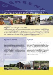 Wijkprogramma Hengelose Es 2008.indd - Gemeente Hengelo