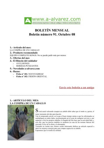 BOLETÃN MENSUAL BoletÃ­n nÃºmero 91. Octubre 08 - A-Alvarez