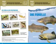 DIE FORELLE - Ãsterreichisches Kuratorium fÃ¼r Fischerei ...