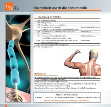 Querschnitt durch die Sensomotrik - Schein