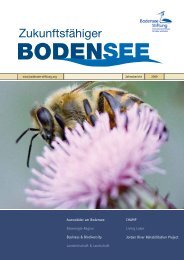 Auenwälder am Bodensee - Bodensee-Stiftung