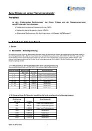 AnschlÃ¼sse an unser Versorgungsnetz - Stadtwerke Frankenthal ...