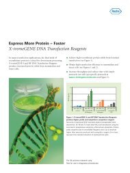 X-tremeGENE DNA Transfection Reagents - Roche Applied Science