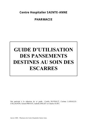 GUIDE D'UTILISATION DES PANSEMENTS DESTINES AU ... - ADIPh