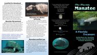 Florida Manatee Brochure