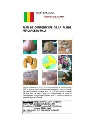 PLAN DE COMPÉTITIVITÉ DE LA FILIÈRE ANACARDE DU MALI