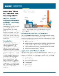 Combustion Turbine CHP System for Food Processing Industry