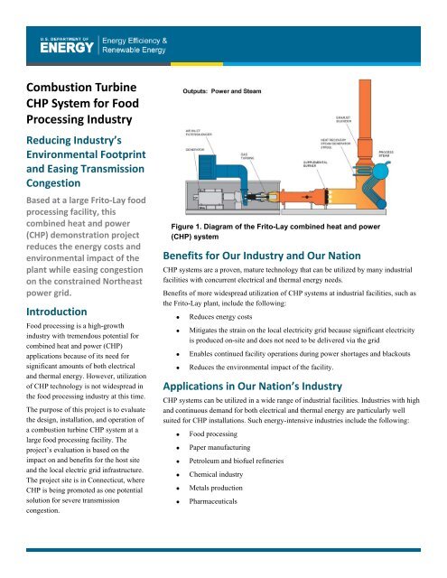 Combustion Turbine CHP System for Food Processing Industry