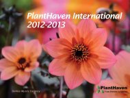 PlantHaven International 2012-2013