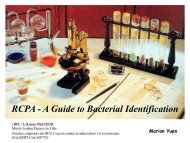 RCPA - A Guide to Bacterial Identification - Rcpa.tv