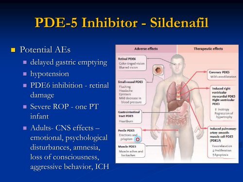 Persistent Pulmonary Hypertension of the Newborn - Mattel ...