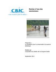 Remise à l'eau - Corporation du Bassin de la Jacques-cartier