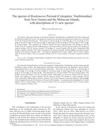 The species of Bradymerus Perroud (Coleoptera: Tenebrionidae ...