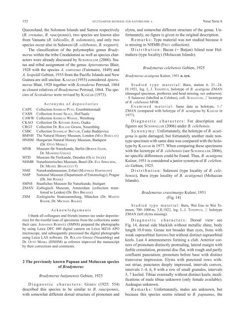 The species of Bradymerus Perroud (Coleoptera: Tenebrionidae ...