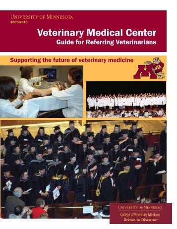 Supporting the future of veterinary medicine - University of ...