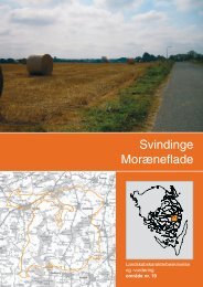 Svindige Moræneflade - Nationalpark Sydfyn