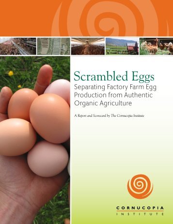 Scrambled Eggs - Cornucopia Institute