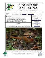 SINGAPORE AVIFAUNA - (Singapore) Bird Group - Nature Society ...