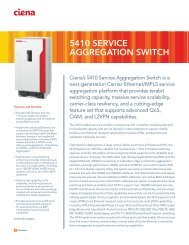 Ciena 5410 Brochure - LightRiver Technologies