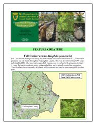 Alsophila pometaria - New Hampshire Division of Forests and Lands