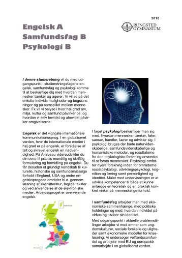 Engelsk A, samfundsfag B, psykologi B