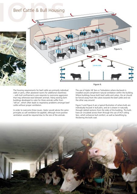 Dairy & Beef Ventilation - Hydor