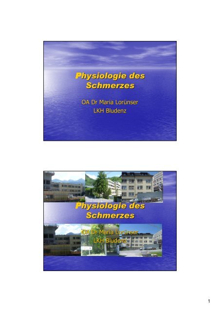 Physiologie des Schmerzes Physiologie des Schmerzes