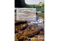 RÃ¶ssler novelties 2011 ENGLISH (4 MB) - Byron