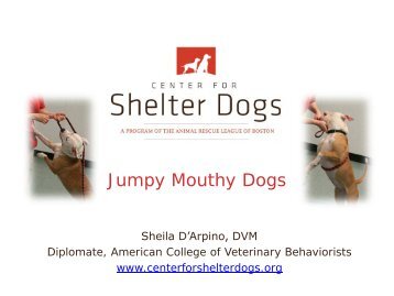 Jumpy Mouthy Dogs - Center for Shelter Dogs