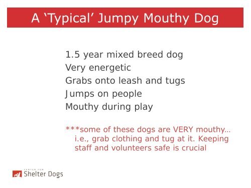 Jumpy Mouthy Dogs - Center for Shelter Dogs