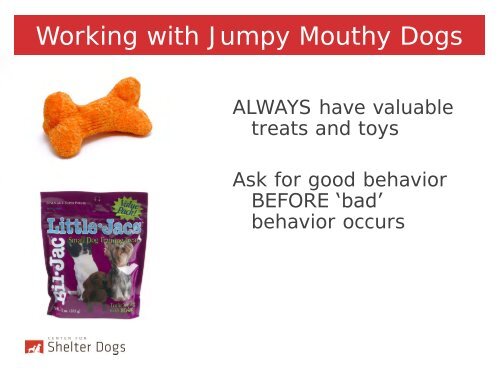Jumpy Mouthy Dogs - Center for Shelter Dogs