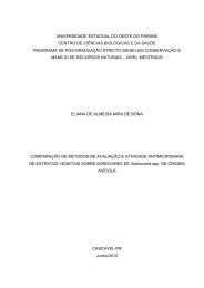 Eliana de Almeida Mira de Bona.Pdf - Unioeste