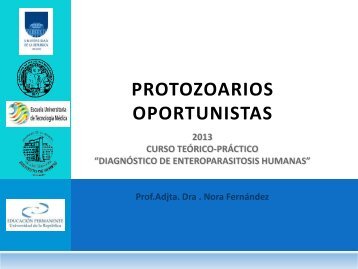 protozoos oportunistas