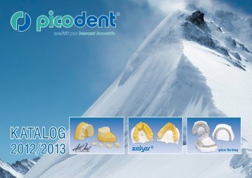 Gesamtkatalog - picodent