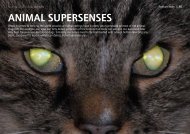 ANIMAL SUPERSENSES - Science Photo Library