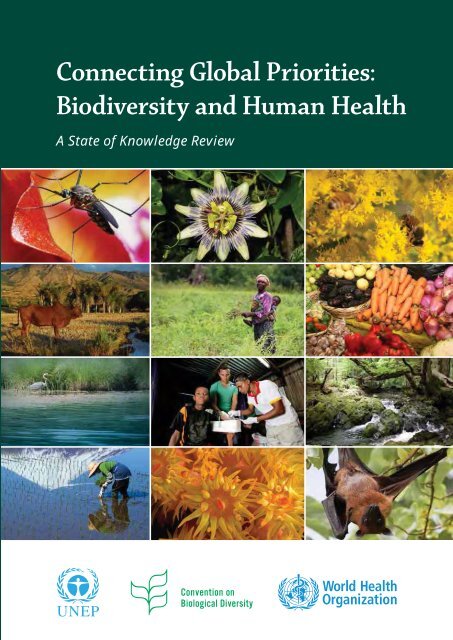 PDF) Reptile Biodiversity Standard Methods for Inventory and