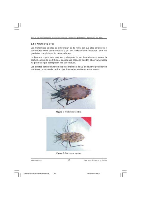 (Hemiptera: Reduviidae) del PerÃº - BVS - INS - Instituto Nacional de ...