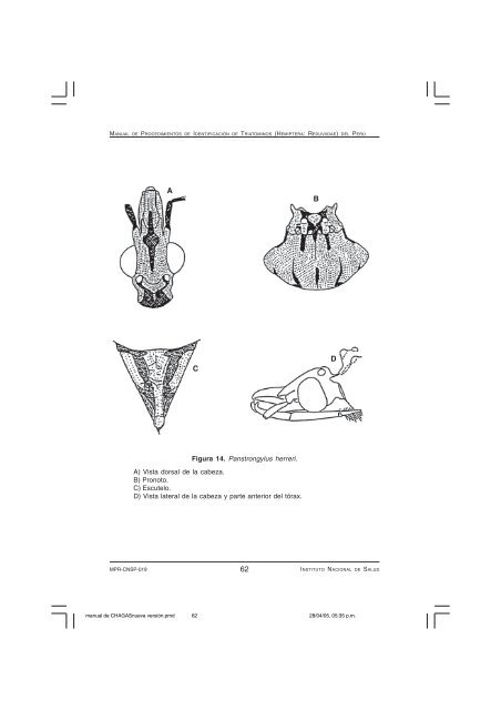 (Hemiptera: Reduviidae) del PerÃº - BVS - INS - Instituto Nacional de ...