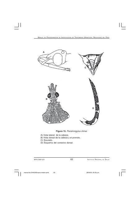 (Hemiptera: Reduviidae) del PerÃº - BVS - INS - Instituto Nacional de ...