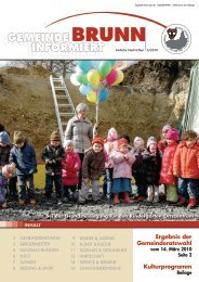 GZ 3-2010.pdf, Seiten 1-16 - Brunn am Gebirge
