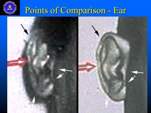 VorderBruegge-face - NIST Visual Image Processing Group