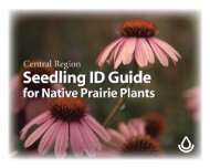 Seedling ID Guide for Native Prairie Plants - Plant Materials ...