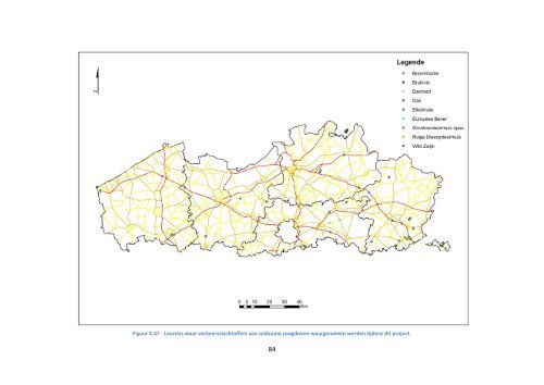 Eindrapport Dieren onder de Wielen - Natuurpunt